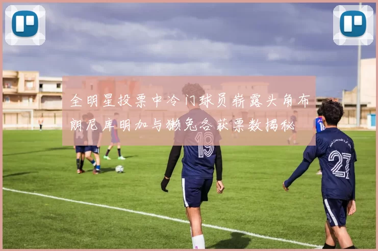 全明星投票中冷门球员崭露头角布朗尼库明加与獭兔各获票数揭秘